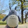 totoro2